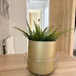 Daire Blessed Holidays In A New And Equipped Apartment, Wi-fi Caleta De Fuste