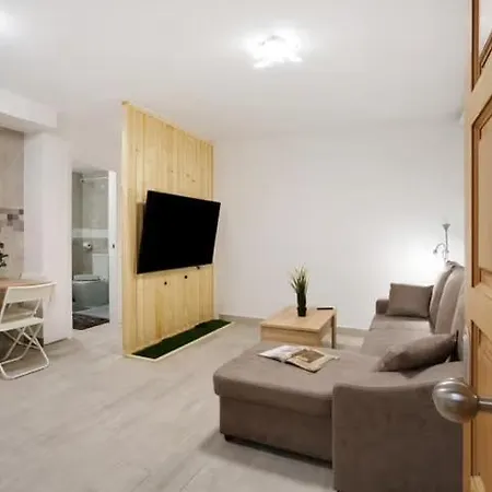 Daire Blessed Holidays In A New And Equipped Apartment, Wi-fi *