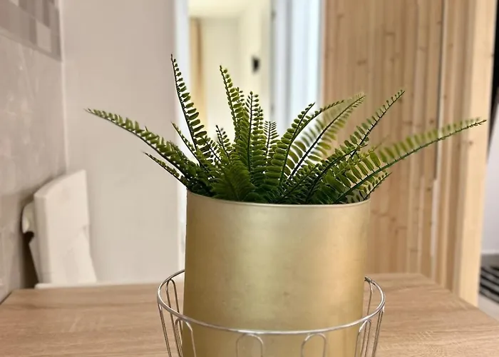 Lejlighed Blessed Holidays In A New And Equipped Apartment, Wi-fi Caleta De Fuste